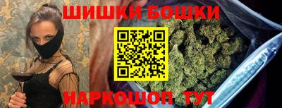 гидра Кингисепп