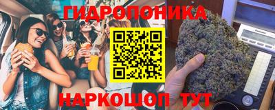 спайс Кинель