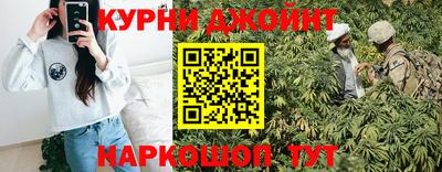 гидра Кингисепп
