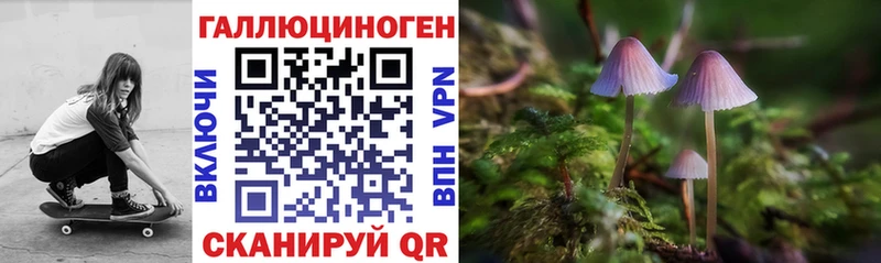 Псилоцибиновые грибы прущие грибы  Сокол 