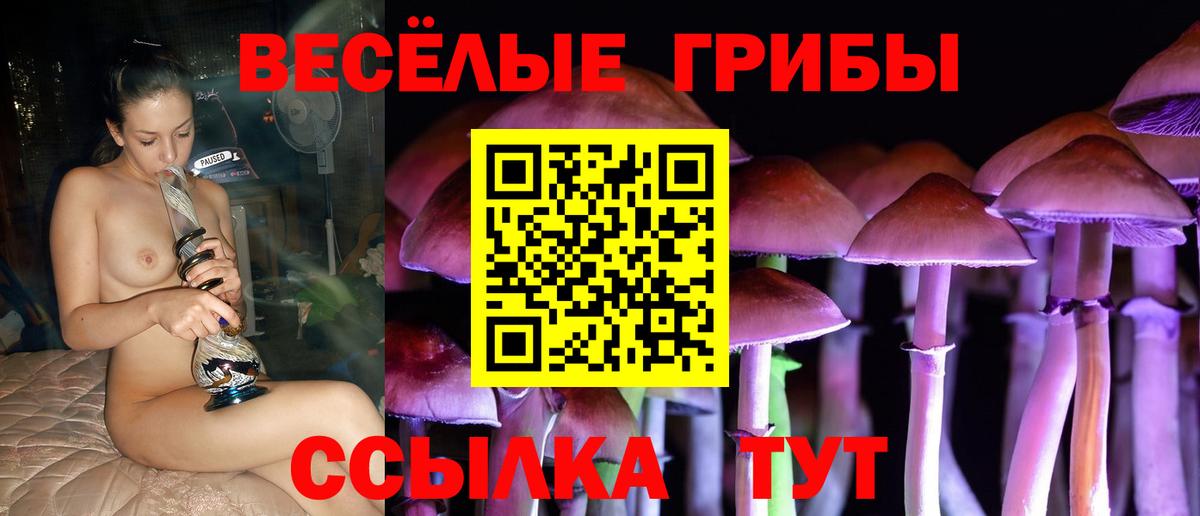 Галлюциногенные грибы Cubensis Сокол