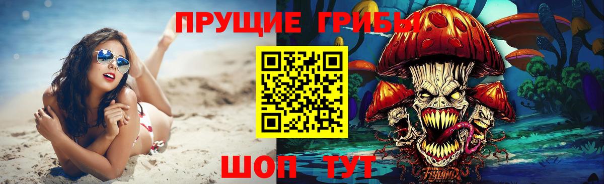 Галлюциногенные грибы прущие грибы  наркота  Сокол  Вход с VPN  Псилоцибиновые грибы Psilocybe 