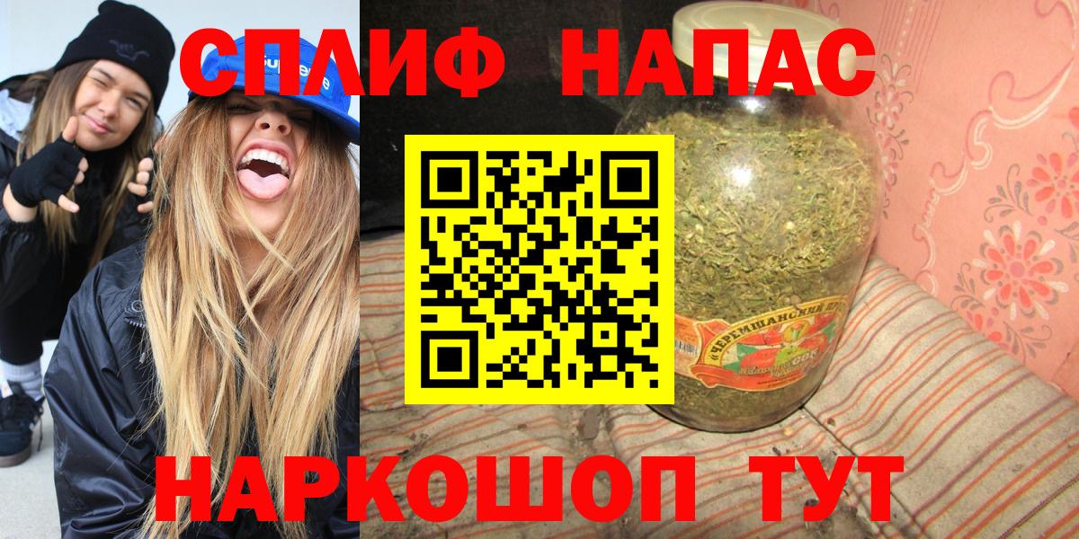 Конопля гибрид Сокол